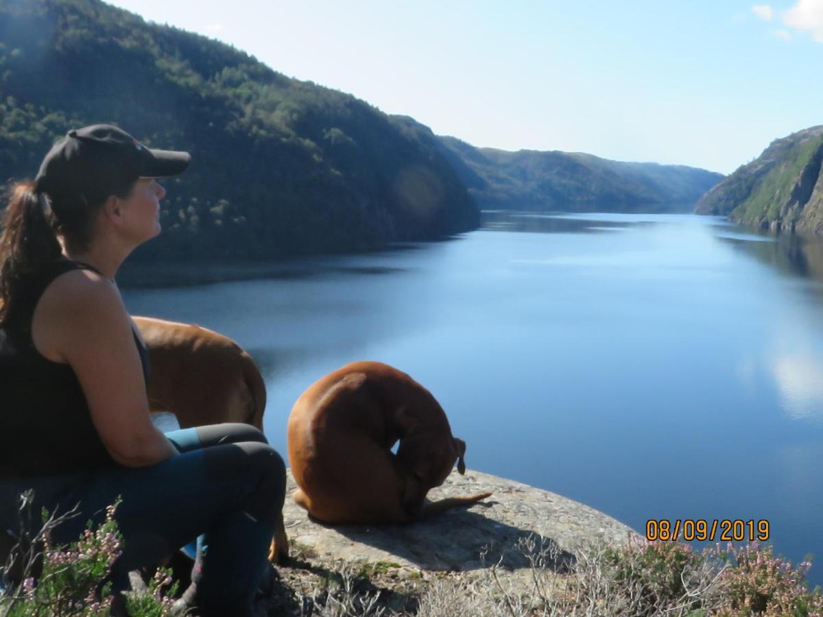 Ovstefjellsa Gard &Aktivitet Senter Hotel Flekkefjord Buitenkant foto